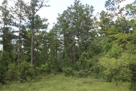 Photo of 10182 County Road 208, Anderson, TX 77830 (MLS # 79456434)
