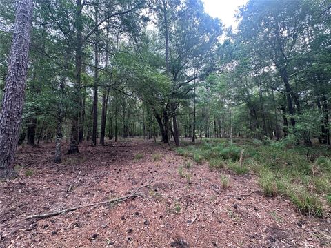 Photo of 0 Fm 943, Livingston, TX 77351 (MLS # 46609258)