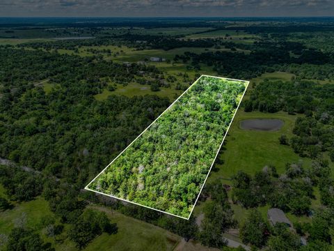Vacant Land For Sale - TBD County Road 132<br/> Bedias, TX 77831
