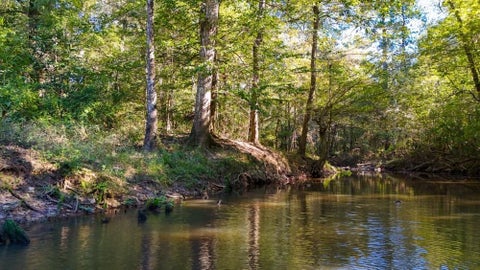 Photo of 3443 County Road 4875, Warren, TX 77664 (MLS # 87074223)