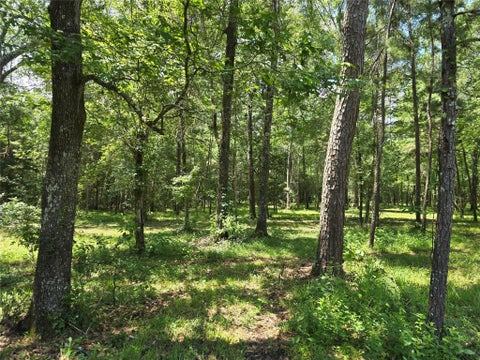 Vacant Land For Sale - 000 TBD Hwy 150<br/> Coldspring, TX 77331