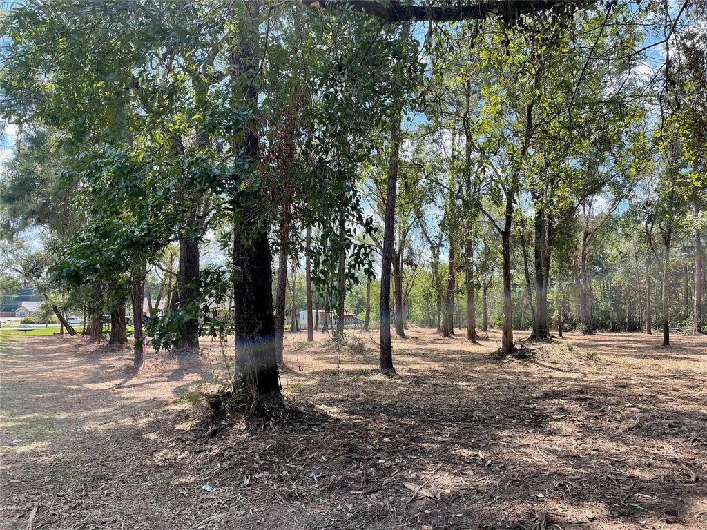 Photo of 20804 Oakshade Drive, New Caney, TX 77357 (MLS # 4736436)