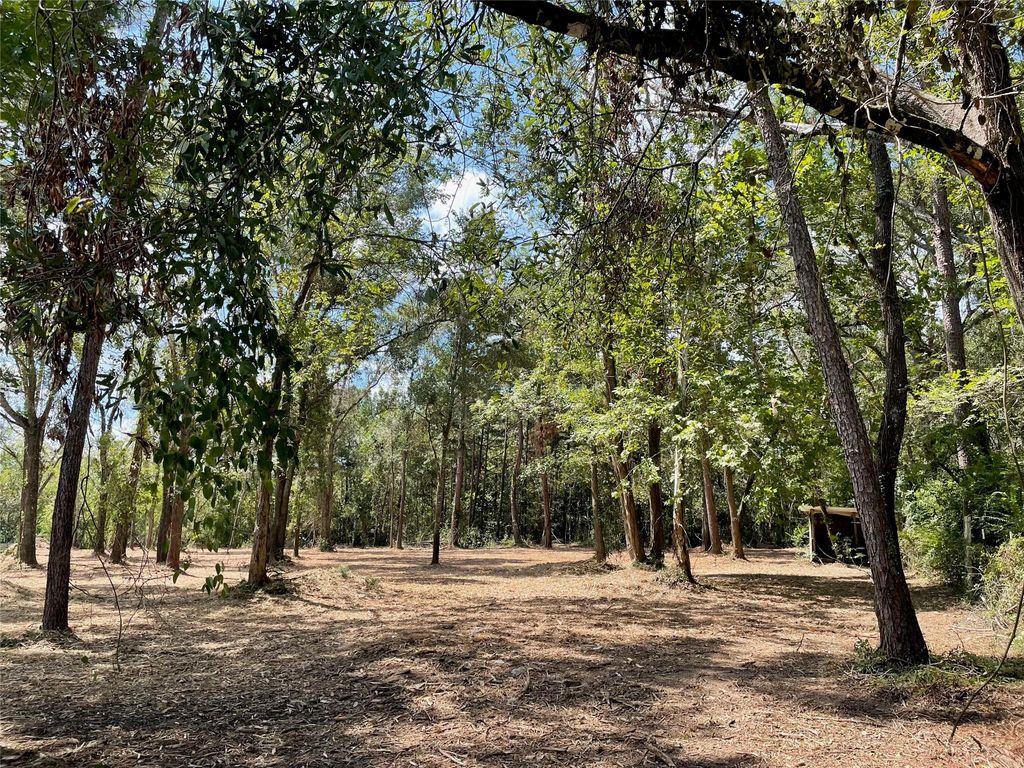 Photo of 20804 Oakshade Drive, New Caney, TX 77357 (MLS # 4736436)