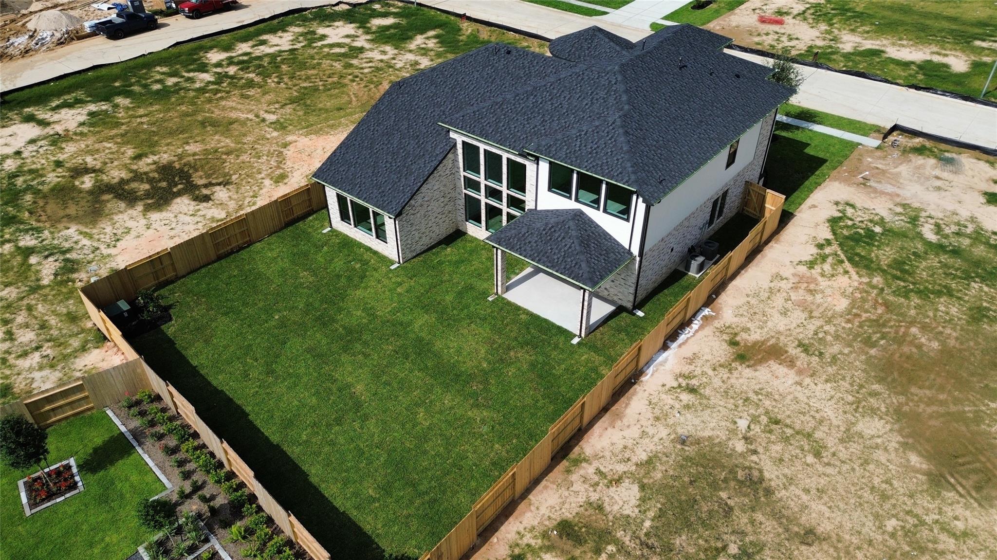 3806 Texas Redbud
