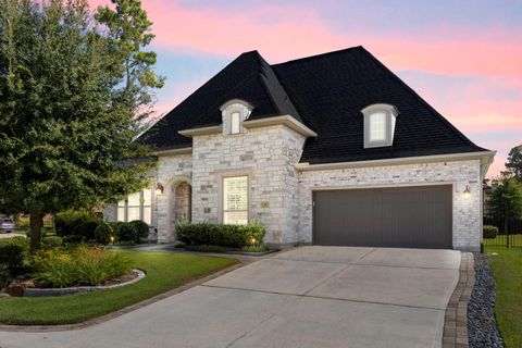 11 Diligent Way Tomball TX 77375