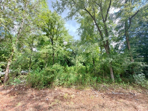 Photo of 10839 River Dr DR, Houston, TX 77385 (MLS # 59141678)