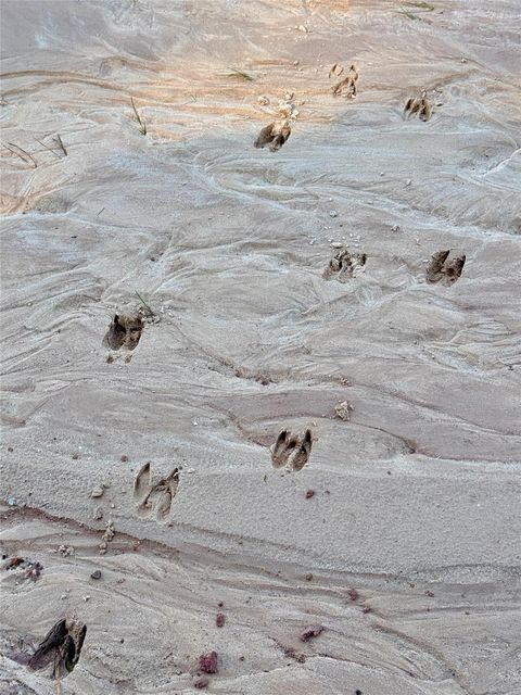 Vacant Land For Sale - 000 Lakeland Drive<br/> Hillister, TX 77624