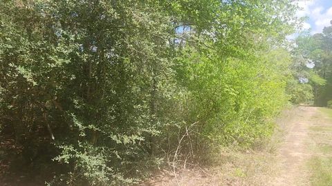 Vacant Land For Sale - LOT 5 Tupelo Lane<br/> Plantersville, TX 77363