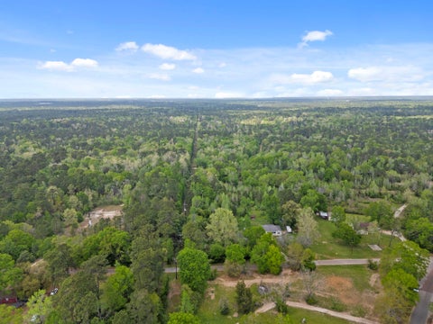 Photo of 0 Old Texaco Camp Road, Conroe, TX 77302 (MLS # 76591148)