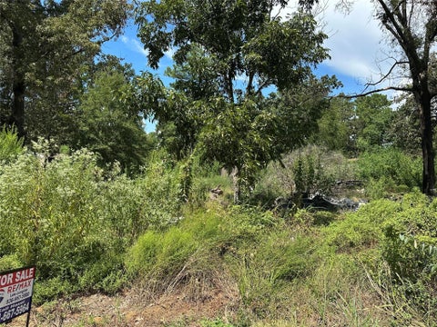 Photo of 389 E Sherwood Drive, Livingston, TX 77351 (MLS # 74736500)