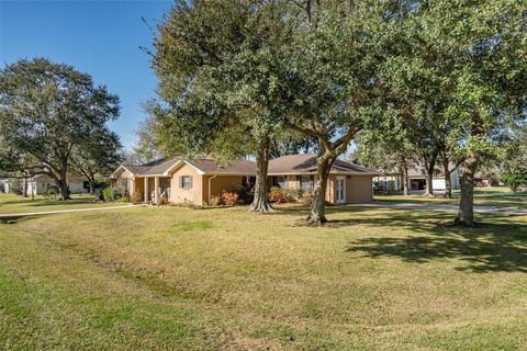 Photo of 105 Alice Street, Anahuac, TX 77514 (MLS # 29636896)