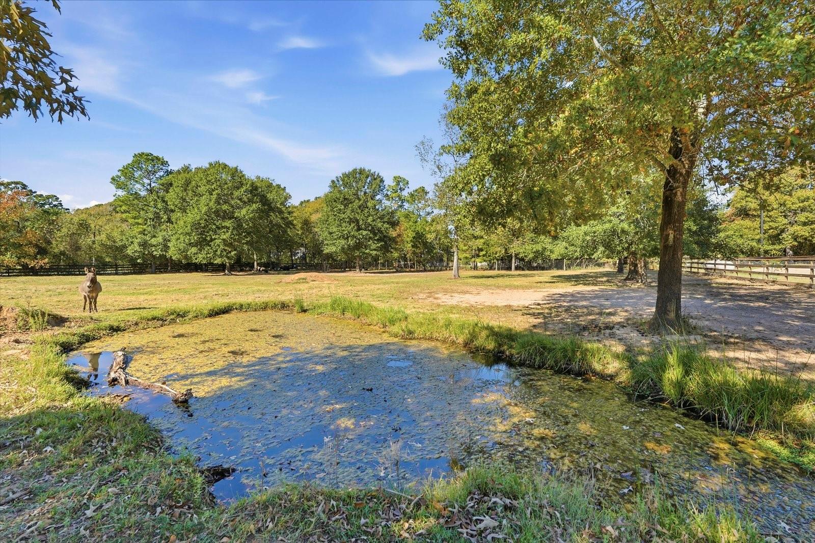Lot 34 Walnut Crossing
