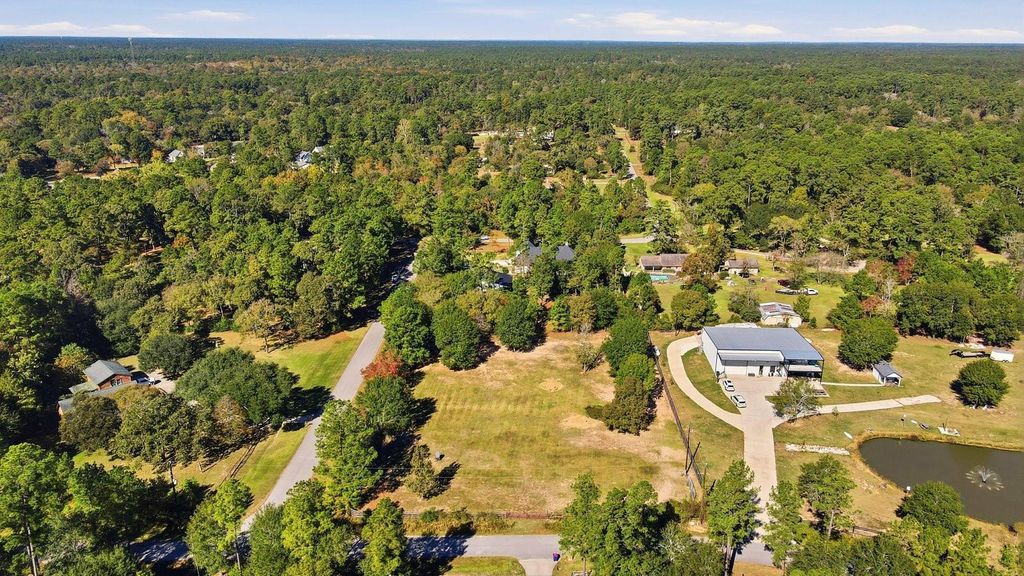 Photo of 34 Walnut Crossing, Magnolia, TX 77355 (MLS # 73781597)