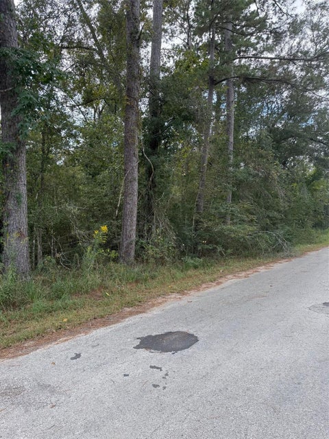 Photo of 17 Long Street, Splendora, TX 77372 (MLS # 64196540)