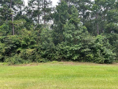 Photo of TBD Lure Lane, Livingston, TX 77351 (MLS # 46652110)