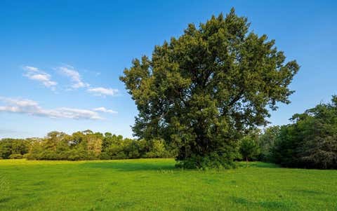 Photo of 45 Cr 223, Buffalo, TX 75831 (MLS # 2800736)