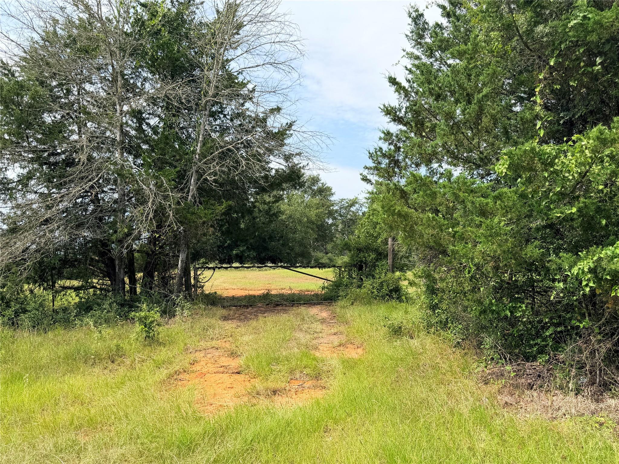 45AC Cr 223