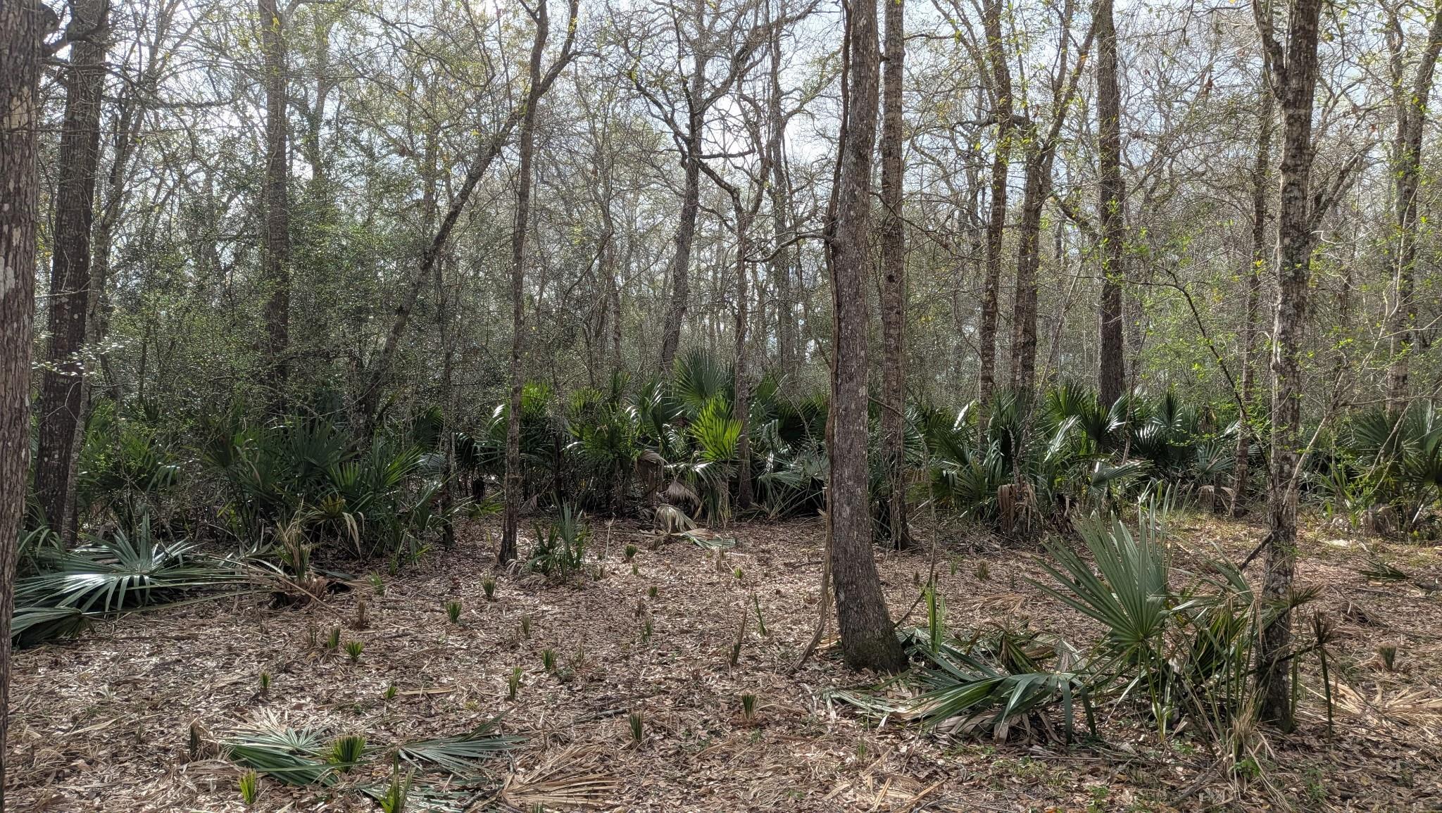 19910 County Road 684a