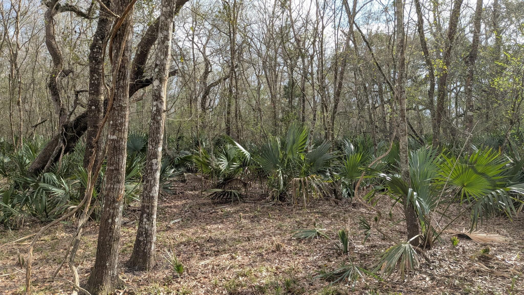 19910 County Road 684a