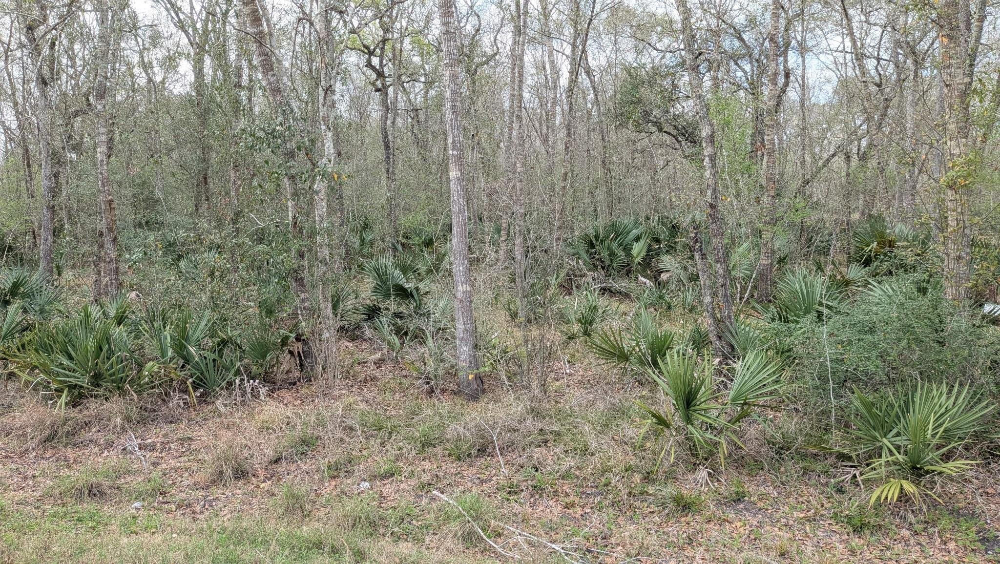 19910 County Road 684a