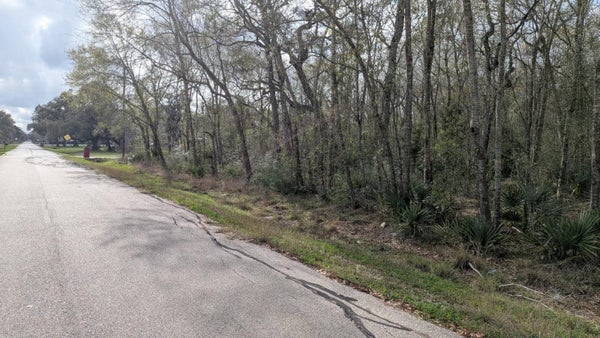 19910 COUNTY ROAD 684A, SWEENY, TX 77480 - Image ec3b6da42e0ff6ade9d161670e542f4b/722291351