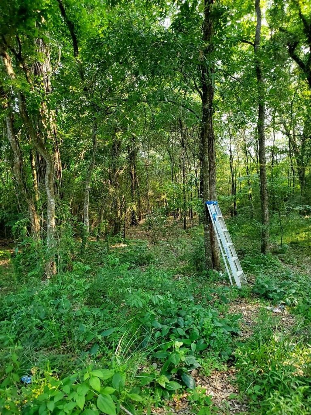 Photo of 0 Holly Ridge Rd, Porter, TX 77365 (MLS # 29287100)