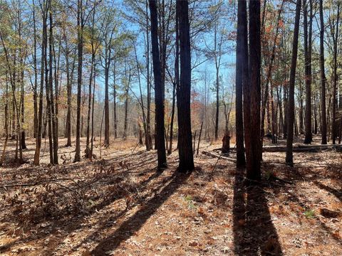 553 Private Road 8356 Bronson TX 75930