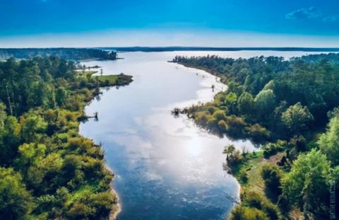 Vacant Land For Sale - 553 Private Road 8356<br/> San Augustine County, Bronson, TX 75930