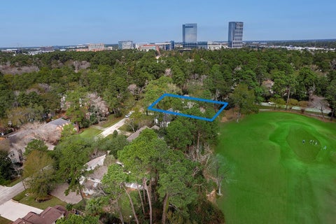 Photo of 2 Box Turtle Lane, The Woodlands, TX 77380 (MLS # 49188019)