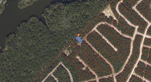 220 Rustic Ranch Drive New Waverly TX 77358