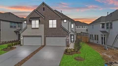 116 West Coralburst Loop Montgomery TX 77316