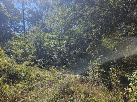 Photo of 26998 Rocking R Street, Splendora, TX 77372 (MLS # 8742571)