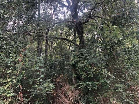 Photo of 0 Moye Rd, Votaw, TX 77374 (MLS # 15568263)