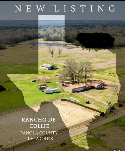 Photo of 511 County Road 161, Long Branch, TX 75669 (MLS # 51050572)