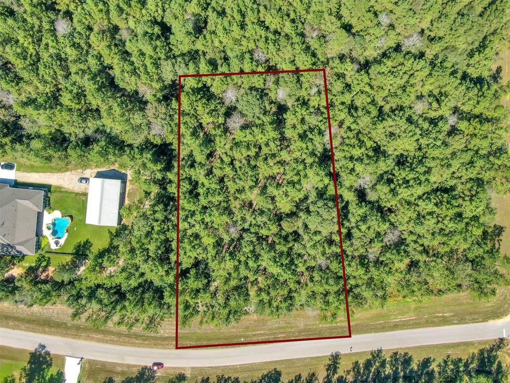 Photo of 10515 Chapter Drive, Willis, TX 77378 (MLS # 57963575)