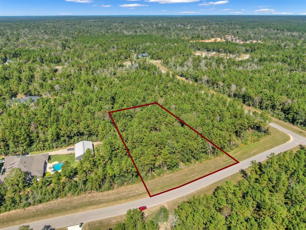 Photo of 10515 Chapter Drive, Willis, TX 77378 (MLS # 57963575)