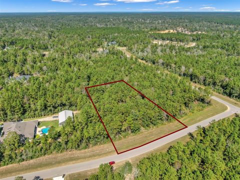 10515 Chapter Drive Willis TX 77378