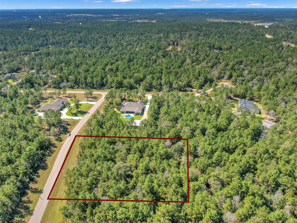 Photo of 10515 Chapter Drive, Willis, TX 77378 (MLS # 57963575)