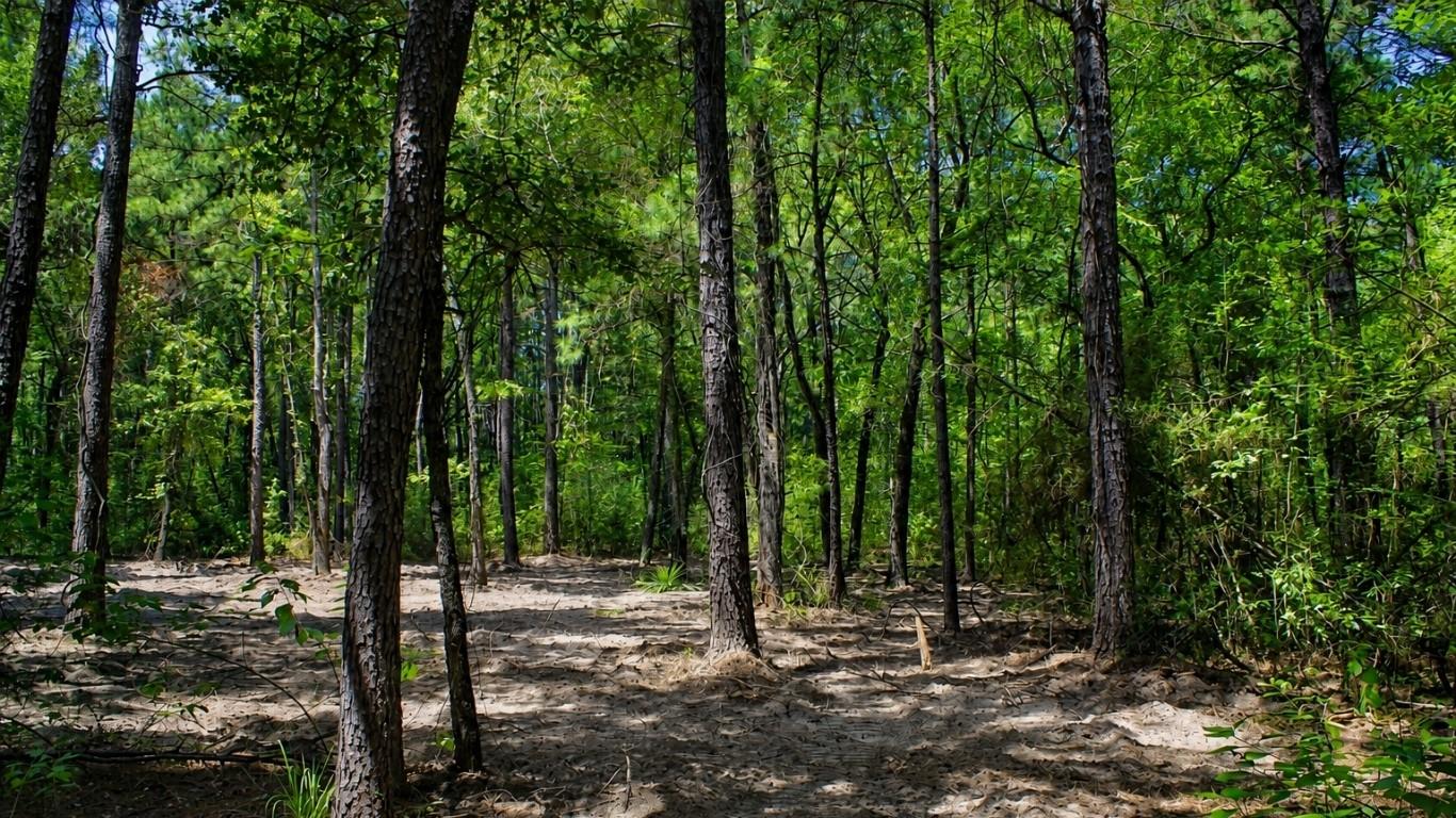 66 AC Tanyard Church Lane
