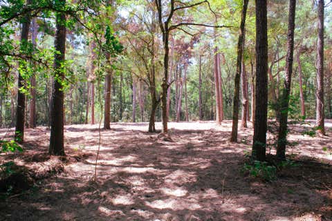 Photo of 66 Tanyard Church Lane, Midway, TX 75852 (MLS # 18770160)
