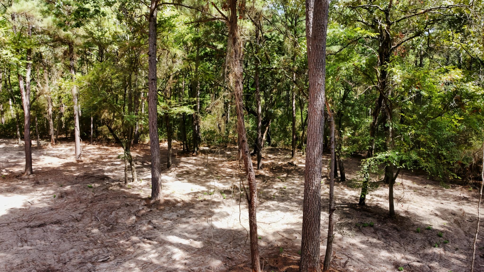66 AC Tanyard Church Lane