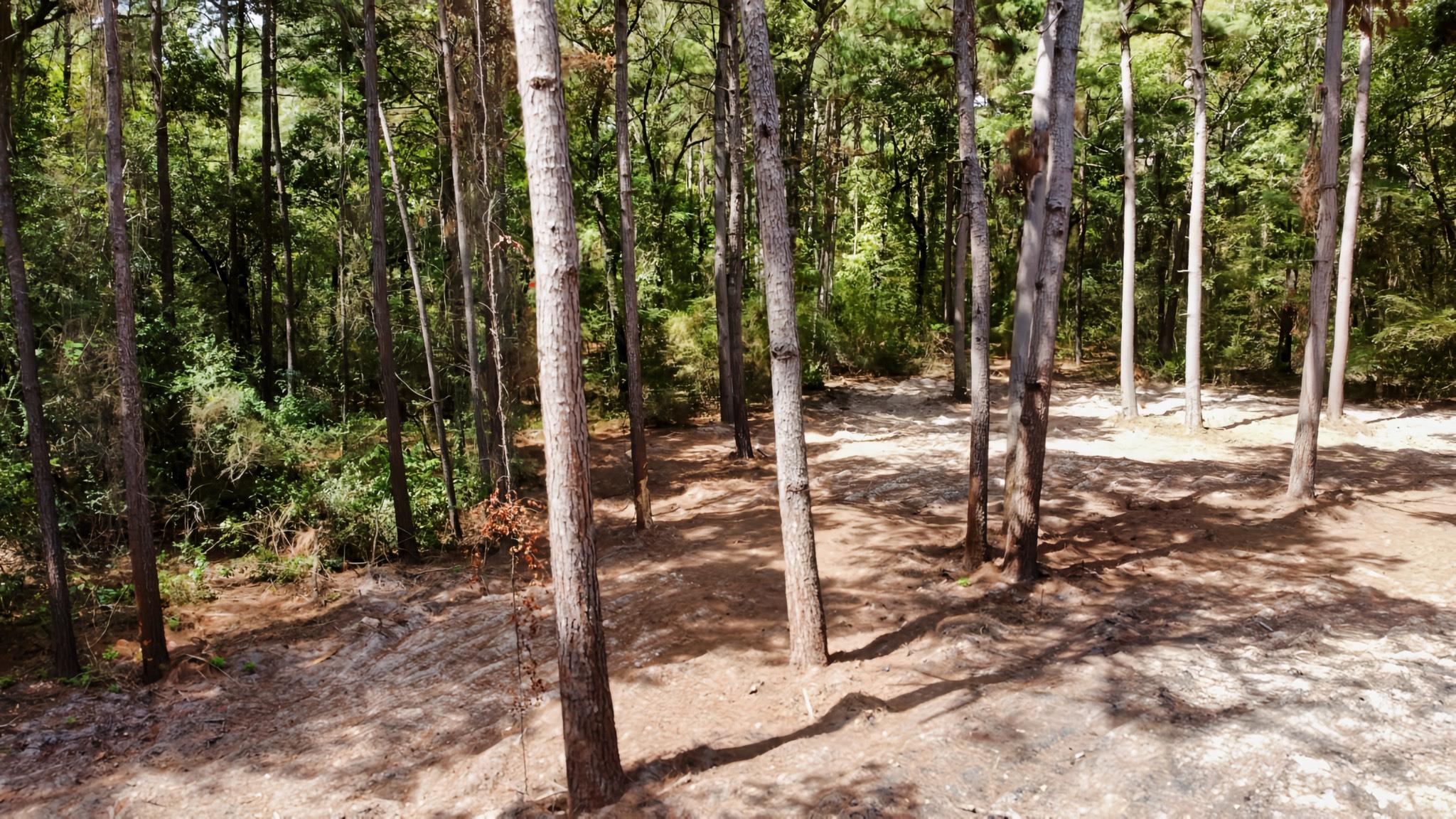 66 AC Tanyard Church Lane