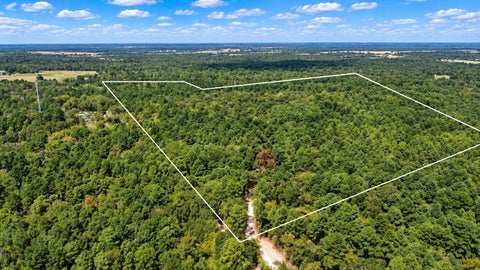 Vacant Land For Sale - 66 AC Tanyard Church Lane<br/> Midway, TX 75852