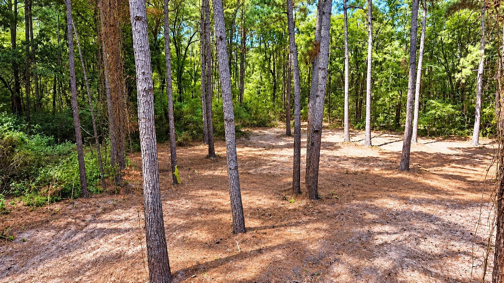 66 AC Tanyard Church Lane