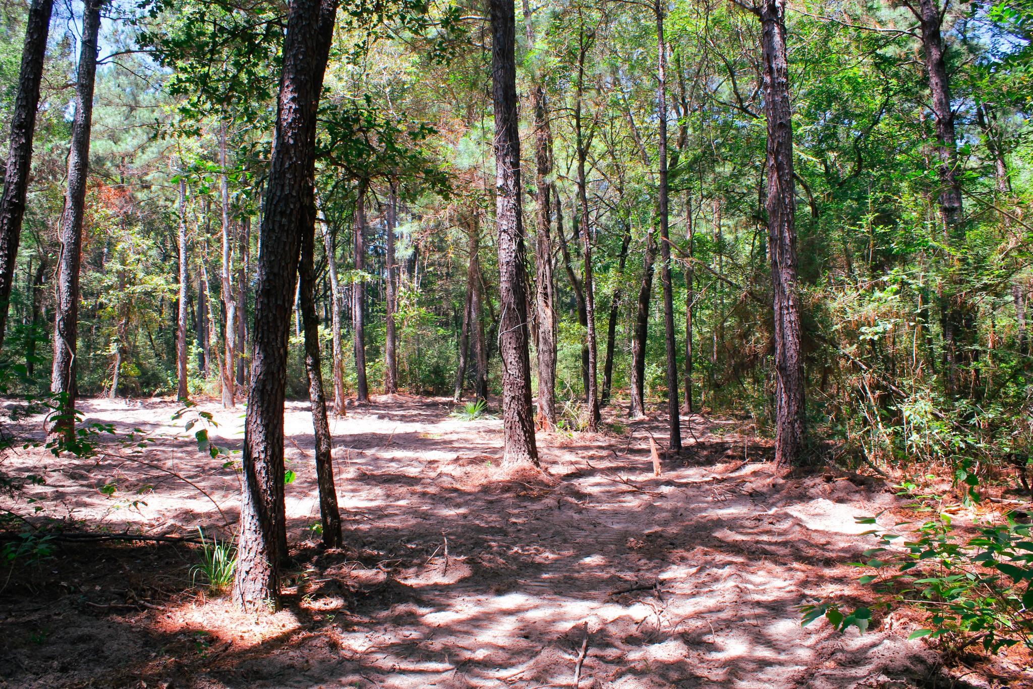 66 AC Tanyard Church Lane