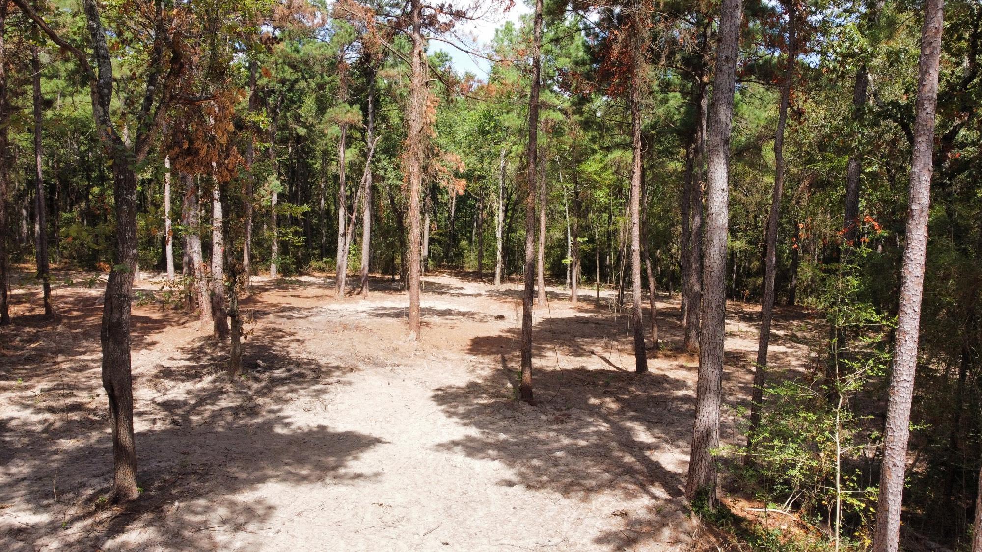 66 AC Tanyard Church Lane