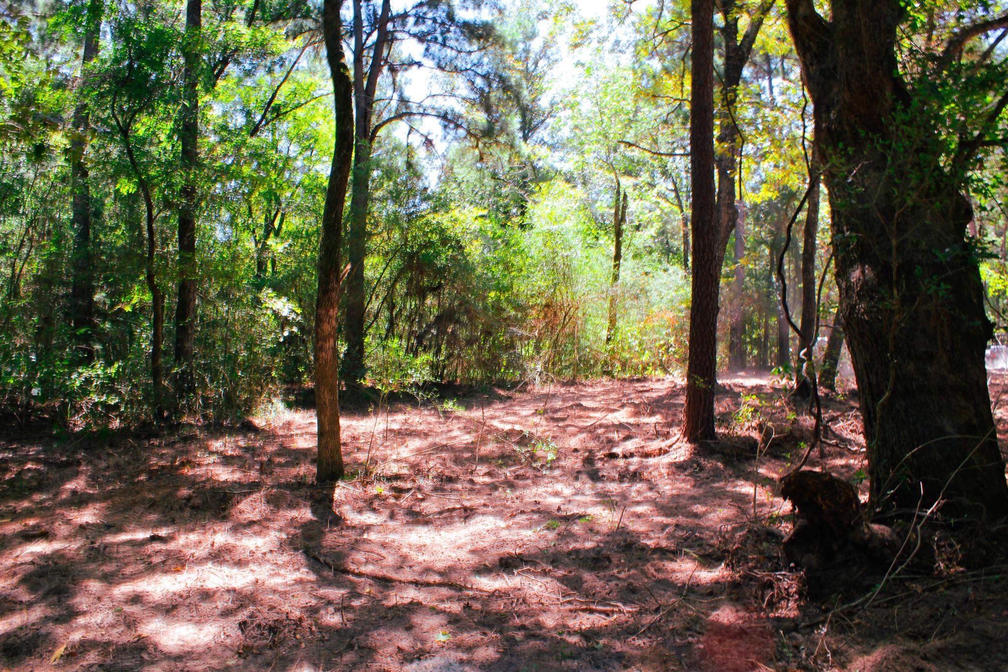 66 AC Tanyard Church Lane