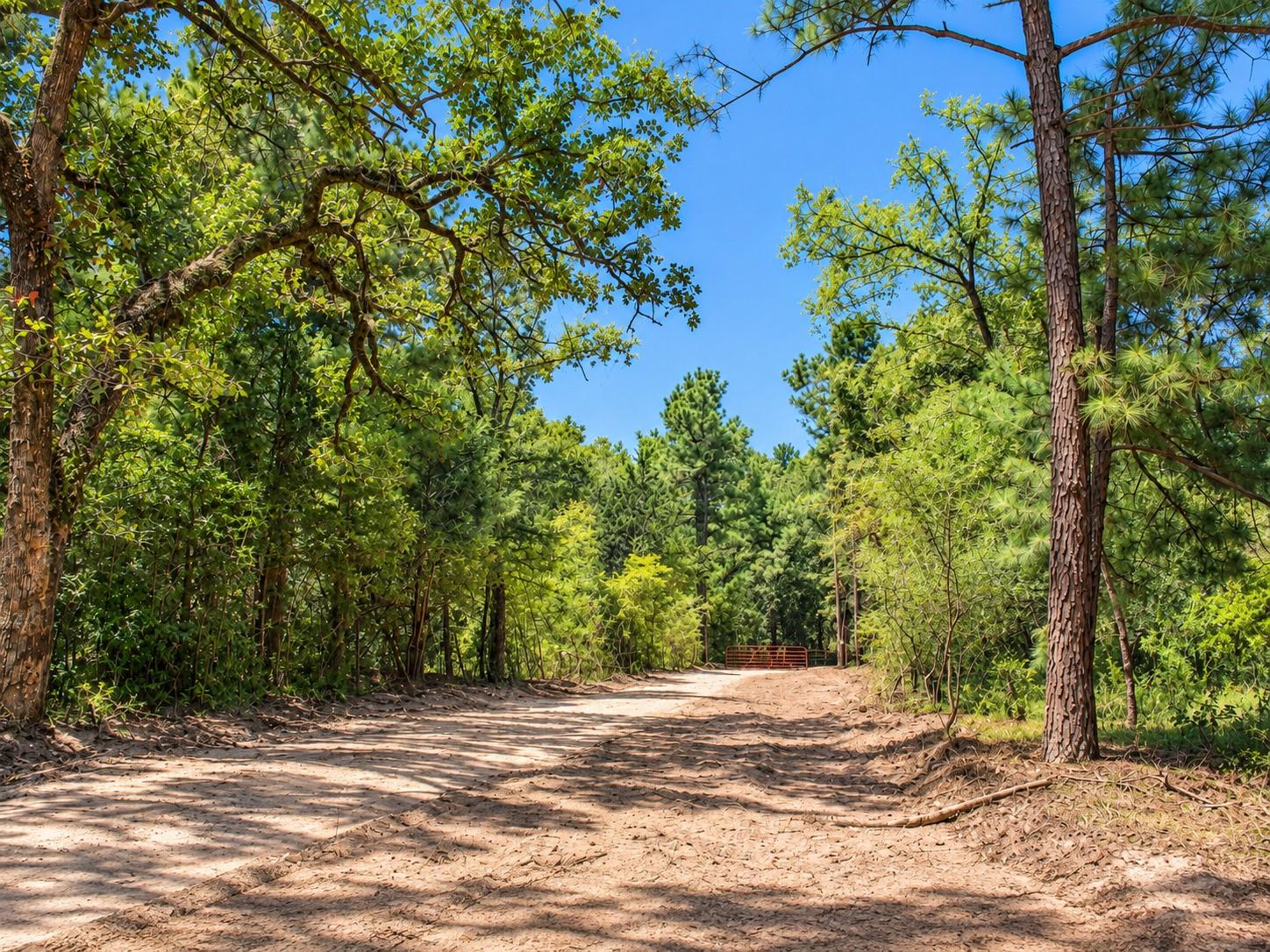 66 AC Tanyard Church Lane