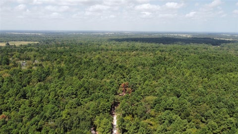 Vacant Land For Sale - 66 AC Tanyard Church Lane<br/> Midway, TX 75852