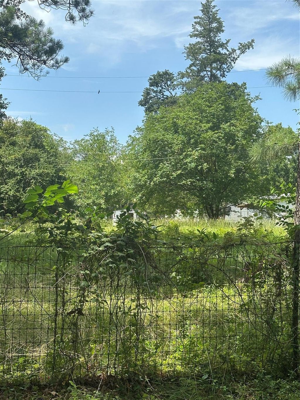 Photo of 164 Moon Mist Drive, Trinity, TX 75862 (MLS # 93547527)